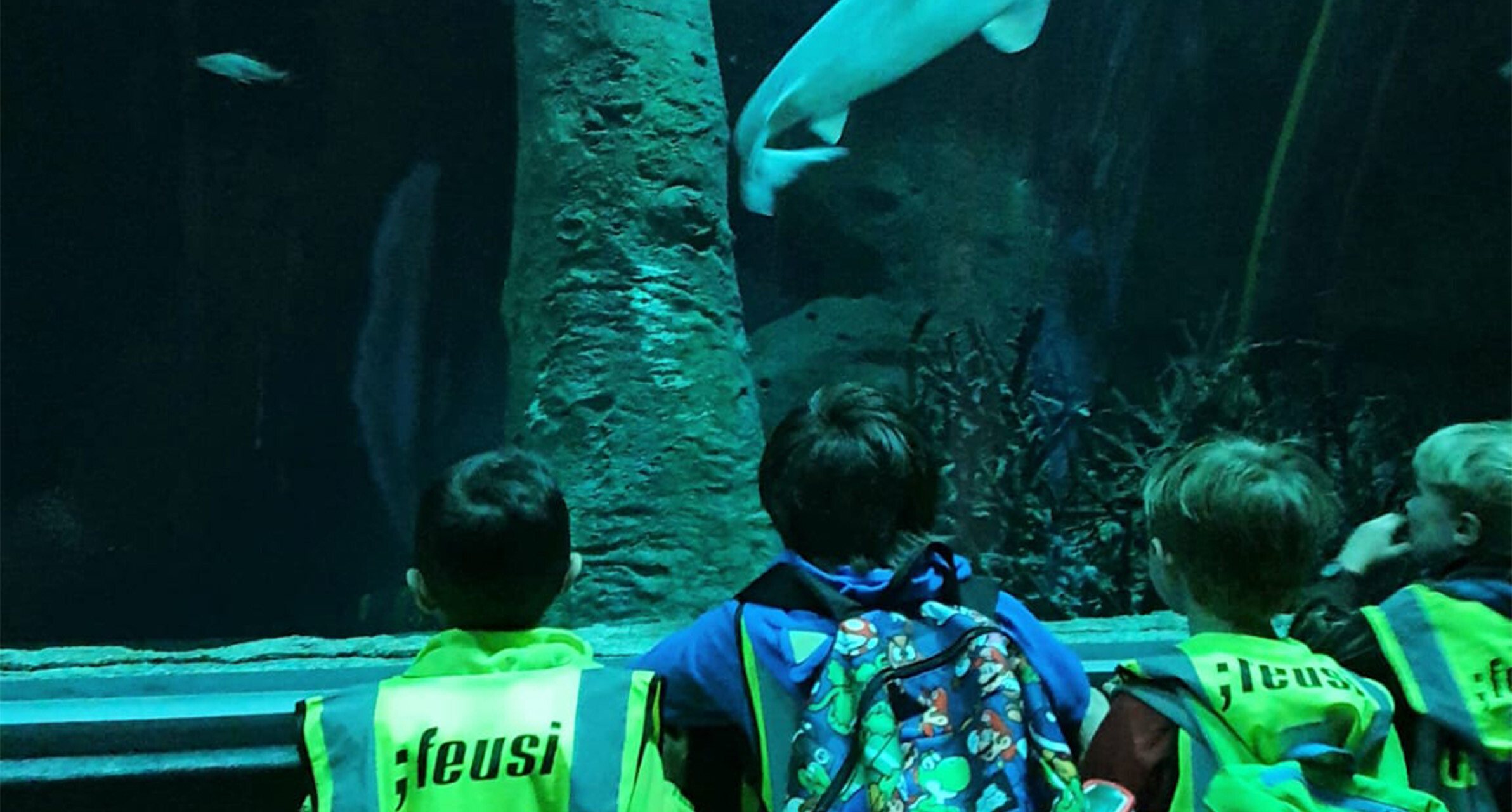 AQUATIS - Aquarium in Lausanne