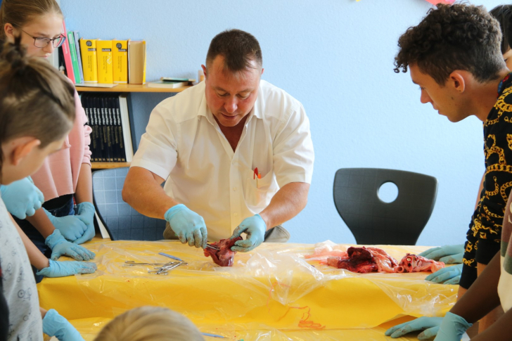 PD Dr. med. Stephan Bolliger demonstriert in der Feusi Primarschule das Sezieren. (Foto: P. Hischier/Feusi)